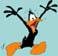WOOD DUCK's Avatar