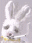 Lowan's Avatar
