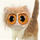 Candu's Avatar