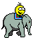 Elephant ride